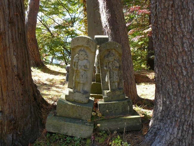 �H�c�_�Ёi�����j