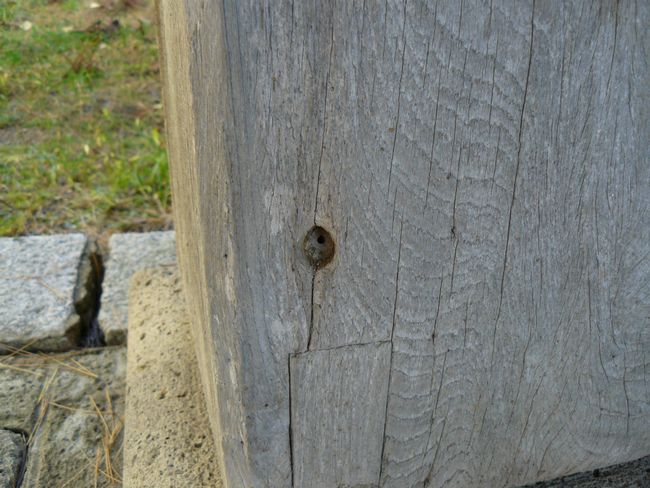 �H�c�_�Ёi�����j