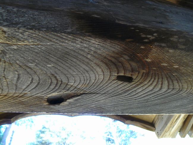 �H�c�_�Ёi�����j