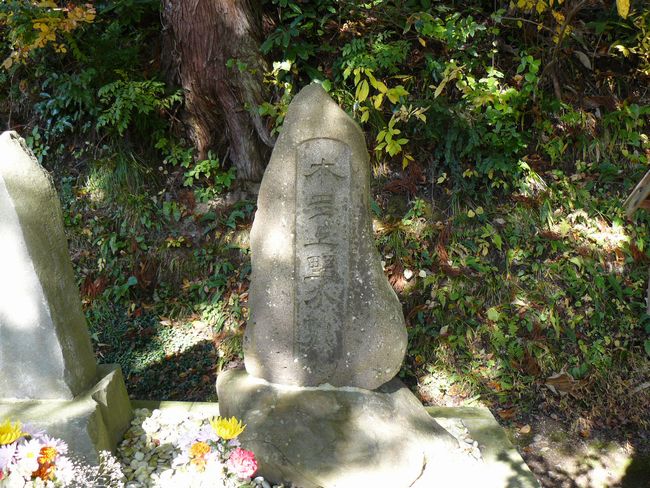 �{���������