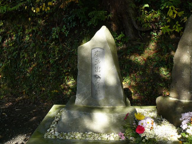 �{����������