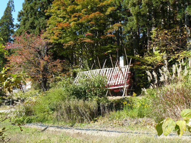 �{���������