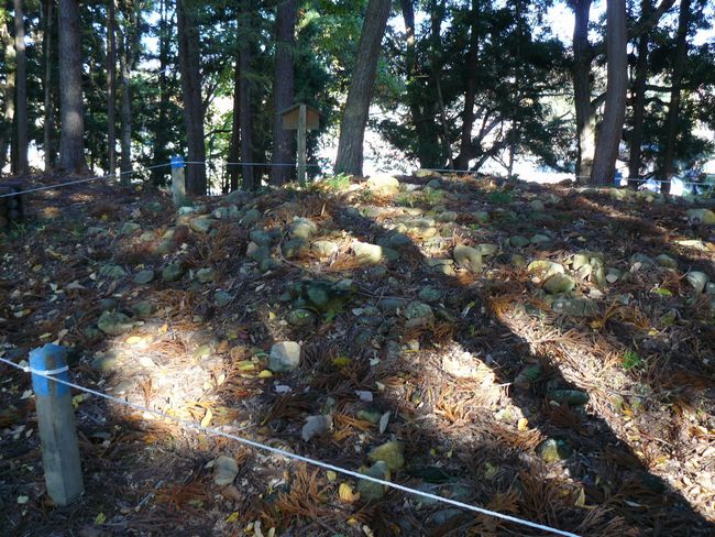 ���g�R�Α����