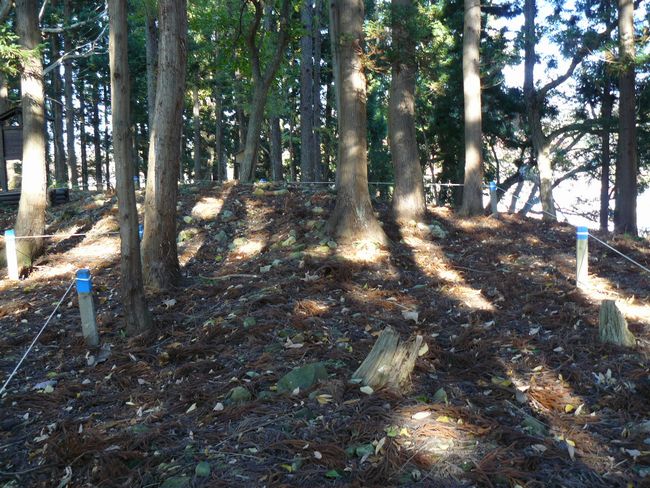 ���g�R�Α����