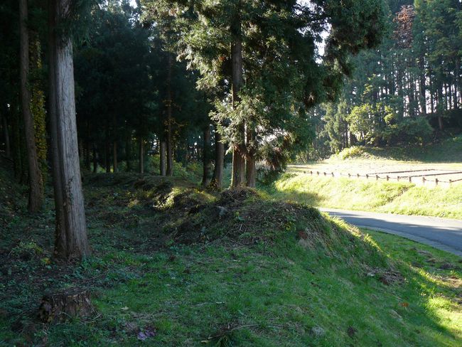 �咹��R���