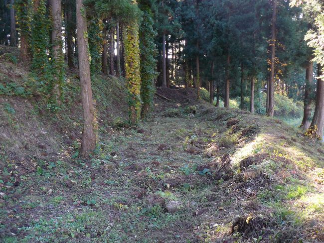 �咹��R���