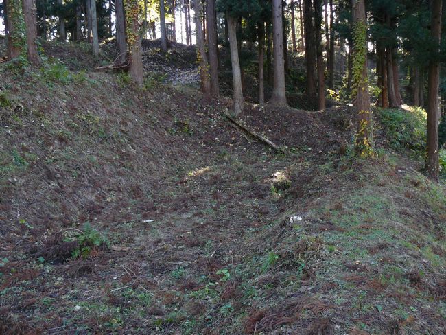 �咹��R���