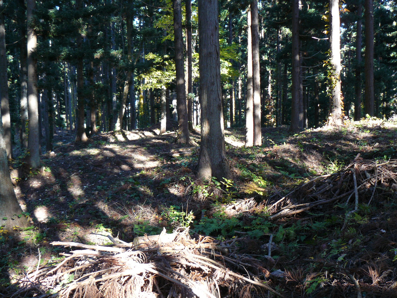 �咹��R���