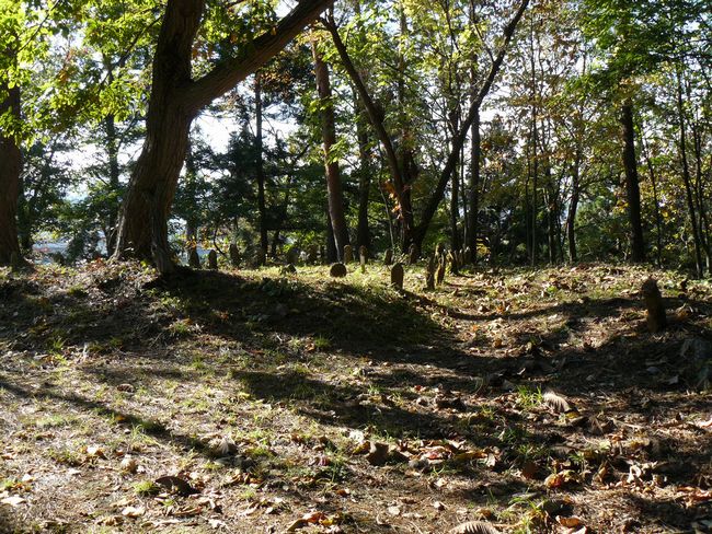 �咹��R���