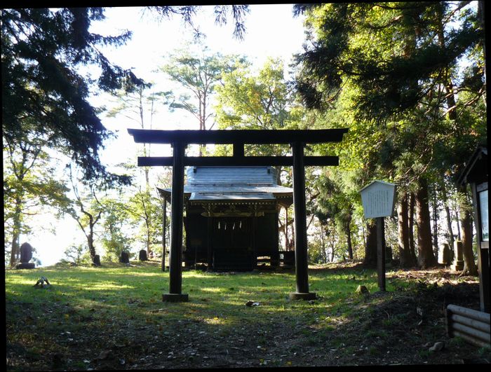 �咹��R���