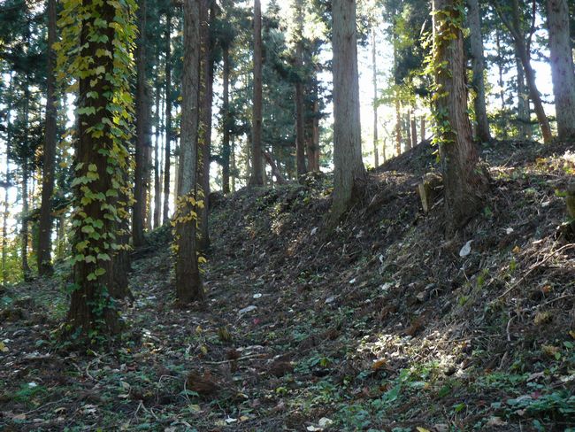 �咹��R���