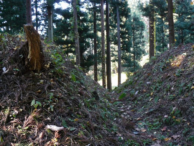 �咹��R���