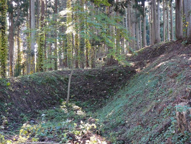 �咹��R���