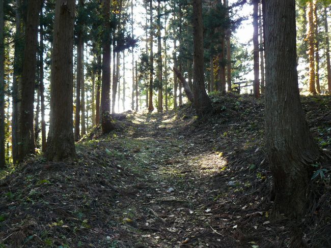 �咹��R�_��