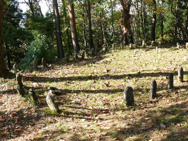 �咹��R�_��