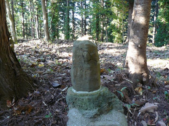 �咹��R�_��