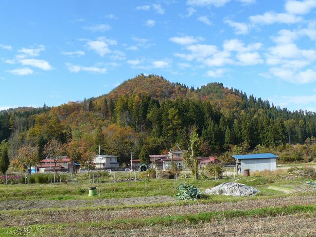 ���R�P�_��