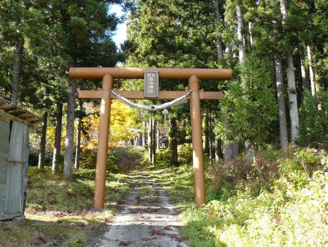 ���R�P�_��