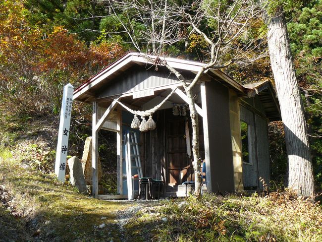 ���R�P�_��