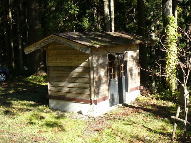 ���R�P�_��