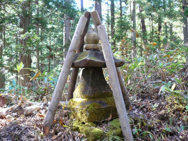 ���R�P�_��