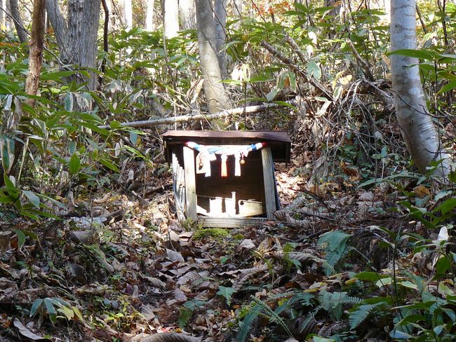 ���R�P�_��