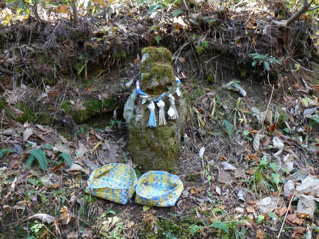 ���R�P�_��