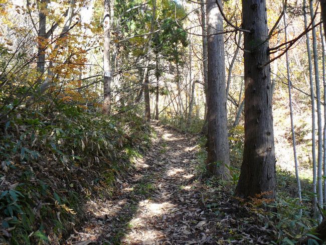 ���R�P�_��