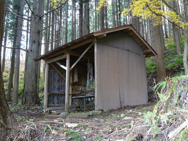 ���R�P�_��