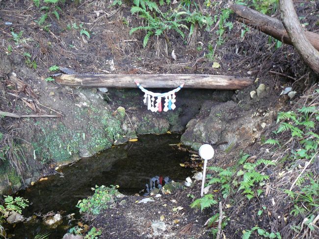 ���R�P�_��