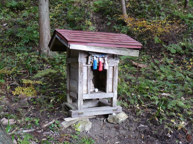 ���R�P�_��