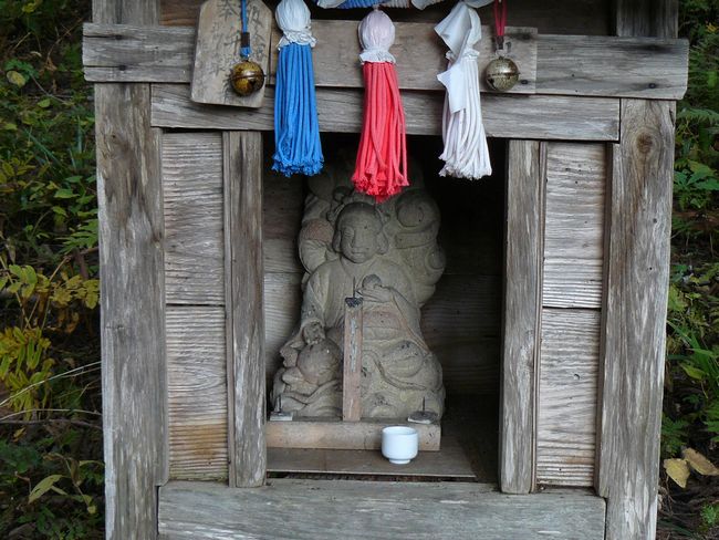 ���R�P�_��