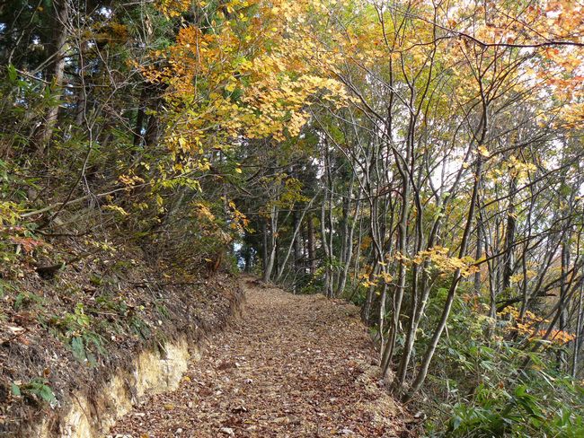 ���R�P�_��