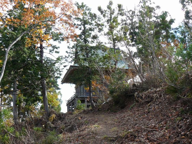 ���R�P�_��