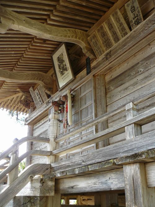 ����s�E���R�P�_��