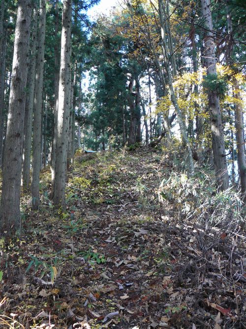 ����s�E���R�P�_��