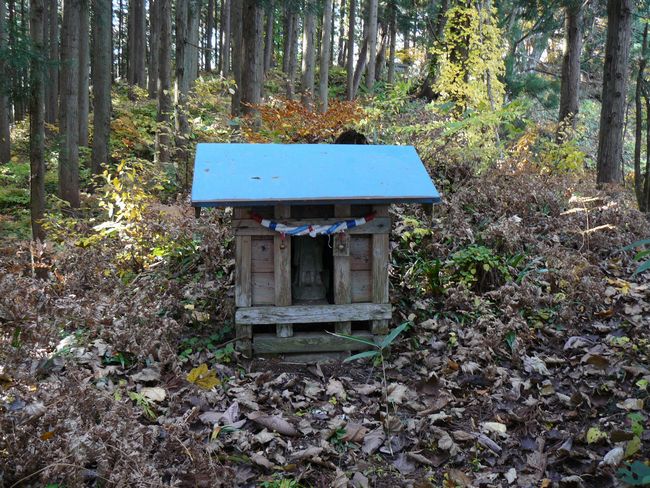 ���R�P�_��