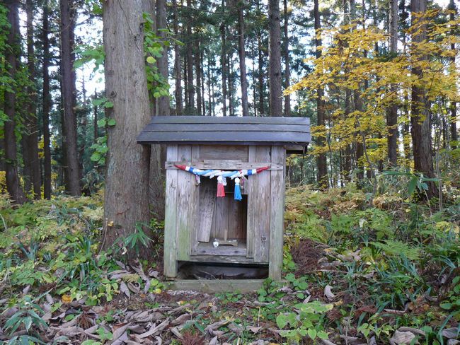 ���R�P�_��