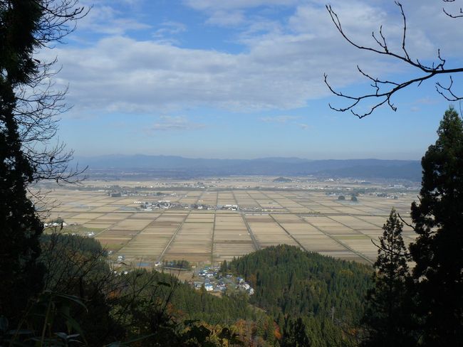 ���R�P�_��