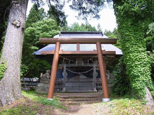 �����C�_��