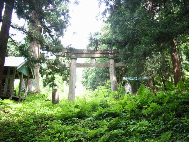 �����C�_��