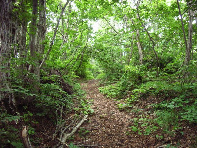 �����C�_��