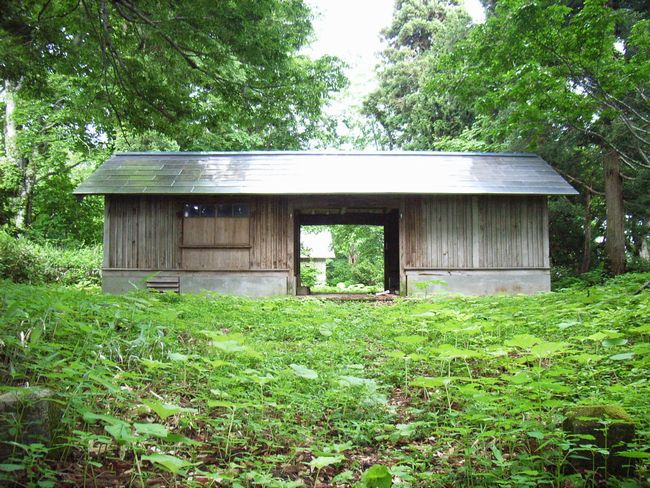 �����C�_��