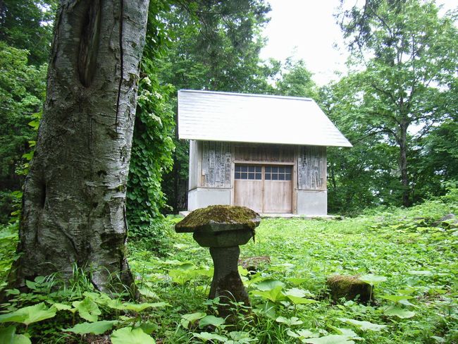 �����C�_��