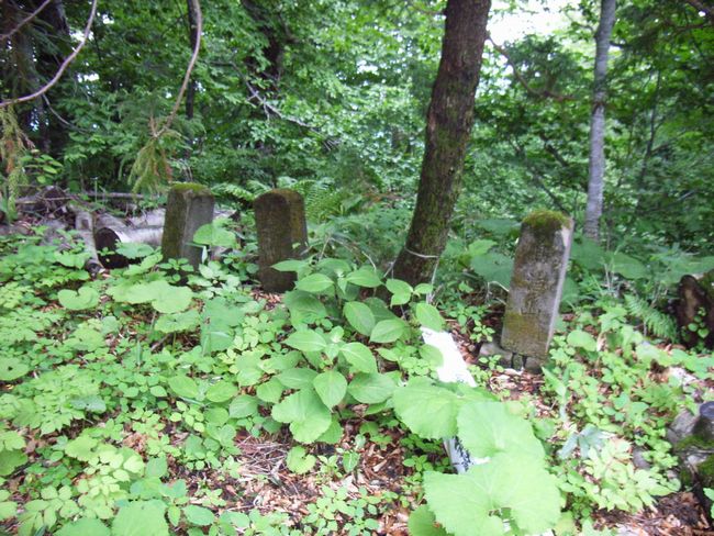 �����C�_��