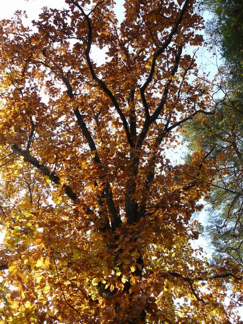 �p�ْ��E�⋴�ƏZ��