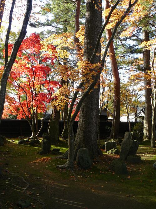 �p�ْ��E�͌��c�ƏZ��