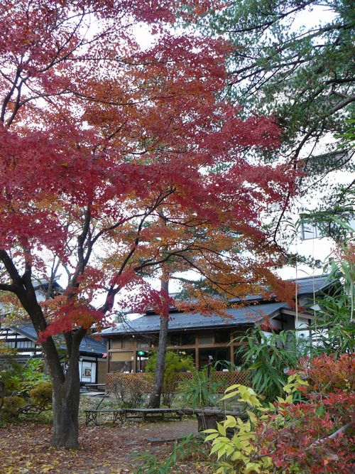 �p�ْ��E���{�ƏZ��