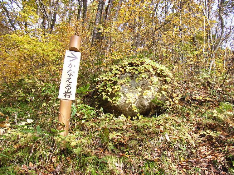 ���Ȃ����