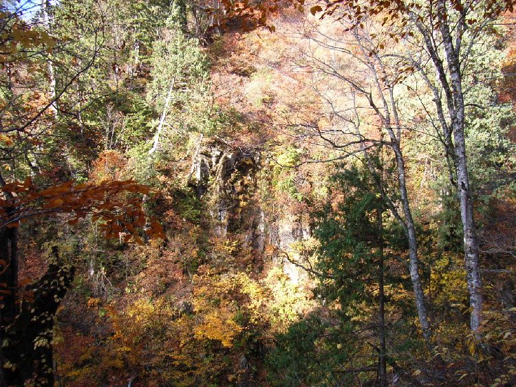 �����k�J